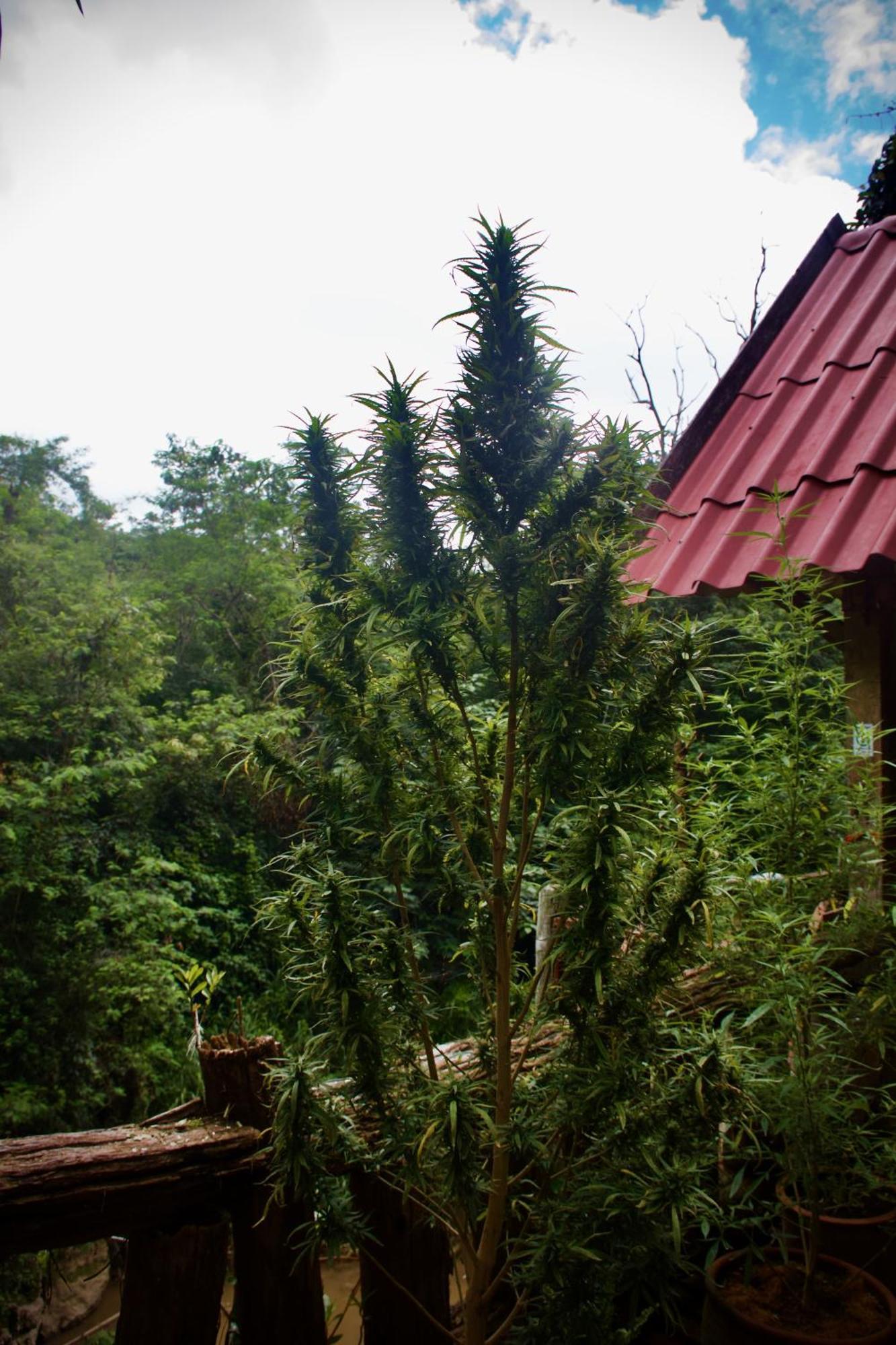 Aerie Lodge Pang Mapha Zewnętrze zdjęcie